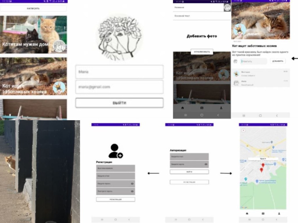Программное сопровождение волонтерской поддержки бездомных животных
